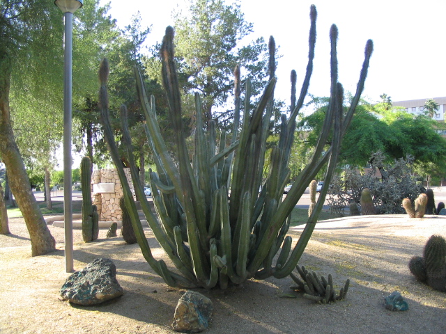 618x457 pixels (236K)